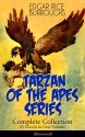 TARZAN OF THE APES SERIES - Complete Collection: 25 Novels in One Volume (Illustrated): The Return of Tarzan, The Beasts of Tarzan, The Son of Tarzan, ... Lion, Tarzan the Terrible and many more - Edgar Rice Burroughs, J. Allen St. John, Frank R. Paul, Frank J. Hoban, Studley Oldham Burroughs