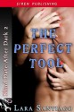 The Perfect Tool - Lara Santiago