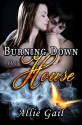 Burning Down the House - Allie Gail