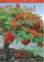 Tropical Trees of Hawaii - Paul Wood