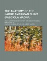 The anatomy of the large American fluke (Fasciola magna); and a comparison with other species of the genus Fasciola, S. St - Charles Wardell Stiles