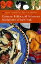 Common Edible and Poisonous Mushrooms of New York - Alan E. Bessette, Arleen Rainis Bessette