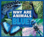 Why Are Animals Blue? - Melissa Stewart