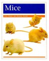 Mice, Grade 1 - Clive Harper, Beverley Randell Harper