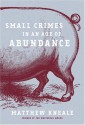 Small Crimes in An Age of Abundance - Matthew Kneale