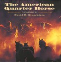 The American Quarter Horse - Becky Prunty, David R. Stoecklein