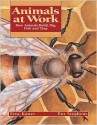 Animals at Work: How Animals Build, Dig, Fish and Trap - Etta Kaner