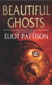 Beautiful Ghosts - Eliot Pattison