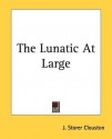 The Lunatic at Large - J. Storer Clouston