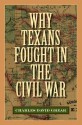 Why Texans Fought in the Civil War - Charles David Grear