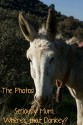 Seriously Mum, Where's that Donkey? The Photos! (Seriously Mum, The Photobooks! Book 2) - Alan Parks