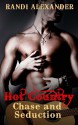 Chase and Seduction: Hot Country, Book 1 - Randi Alexander