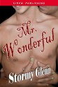 Mr. Wonderful - Stormy Glenn