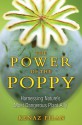 The Power of the Poppy: Harnessing Nature’s Most Dangerous Plant Ally - Kenaz Filan