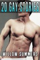 GAY: 20 Stories Man on Man First Time Bundle Box Set - Willow Summers