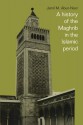 A History of the Maghrib in the Islamic Period - Jamil M. Abun-Nasr