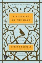 A Blessing on the Moon - Joseph Skibell