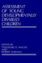 Assessment of Young Developmentally Disabled Children - Robert Sheehan