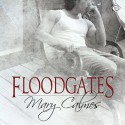 Floodgates - Michael Anthony, Mary Calmes