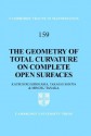 The Geometry of Total Curvature on Complete Open Surfaces - Katsuhiro Shiohama, Takashi Shioya, Minoru Tanaka