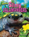 Slimy Salamanders - Meish Goldish