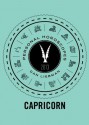 Capricorn: Personal Horoscopes 2013 - Dan Liebman