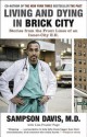 Living and Dying in Brick City: Stories from the Front Lines of an Inner-City E.R. - Sampson Davis, Lisa Frazier Page