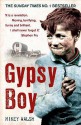 Gypsy Boy: One Boy's Struggle To Escape From A Secret World - Mikey Walsh