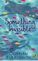 Something Invisible - Siobhán Parkinson