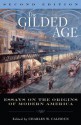 The Gilded Age: Perspectives on the Origins of Modern America - Charles W. Calhoun, Eric Arnesen, Robert G. Barrows, Michael Les Benedict, Ballard C. Campbell, W. Bernard Carlson, Stacy A. Cordery, Ruth C. Crocker, Roger Daniels, Danziger, Edmund J., Jr., Fishel, Leslie H., Jr., Joseph A. Fry, Lewis L. Gould, Ellen M. Litwicki, Wor