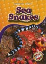 Sea Snakes - Colleen Sexton