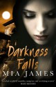 Darkness Falls (Ravenwood Mysteries) - Mia James