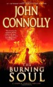 The Burning Soul (Charlie Parker, #10) - John Connolly