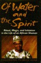 Of Water And Spirit - Malidoma Patrice Somé