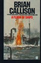 A Flock of Ships - Brian Callison