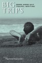 Big Trips: More Good Gay Travel Writing - Raphael Kadushin