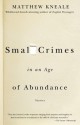 Small Crimes in an Age of Abundance - Matthew Kneale