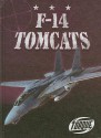 F-14 Tomcats - Jack David