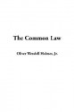 The Common Law - Oliver Wendell Holmes Jr.