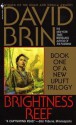 Brightness Reef (Uplift Storm Trilogy #1) - David Brin