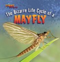 The Bizarre Life Cycle of a Mayfly - Greg Roza