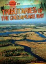 Tributaries of the Chesapeake Bay - Heather Moore Niver