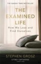 The Examined Life: How We Lose and Find Ourselves - Stephen Grosz