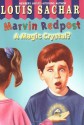 A Magic Crystal? (A Stepping Stone Book(TM)) - Louis Sachar, Amy Wummer