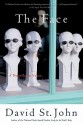 The Face: A Novella in Verse - David St. John