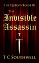 Invisible Assassin (The Queen's Blade, #3) - T.C. Southwell