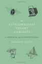 An Extraordinary Theory of Objects: A Memoir of an Outsider in Paris - Stephanie LaCava