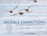 Invisible Connections: Why Migrating Shorebirds Need the Yellow Sea - Jan van de Kam, Jan Lewis, Phil Battley, Brian MacCaffery, Nial Moores, Theunis Piersma