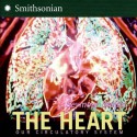 The Heart: Our Circulatory System - Seymour Simon