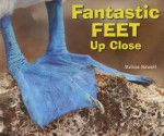 Fantastic Feet Up Close - Melissa Stewart